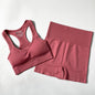 Seamless Yoga Set