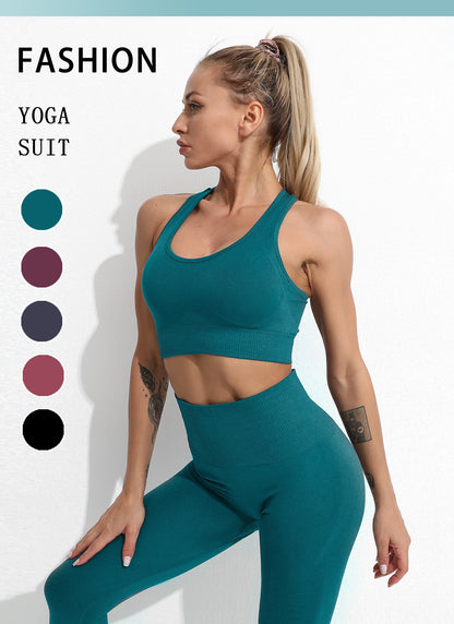Seamless Yoga Set